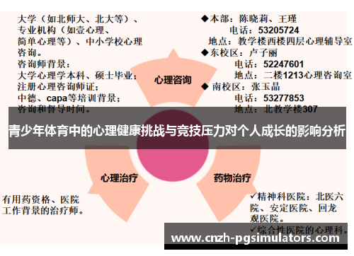 青少年体育中的心理健康挑战与竞技压力对个人成长的影响分析